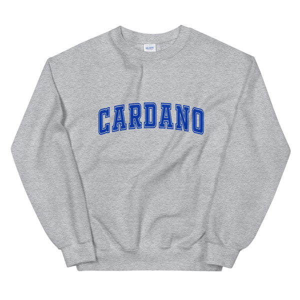 Cardano Collegiate Sweater